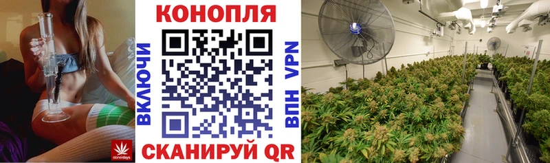 Каннабис планчик мориарти клад OMG как войти Рыбное что такое наркотик
